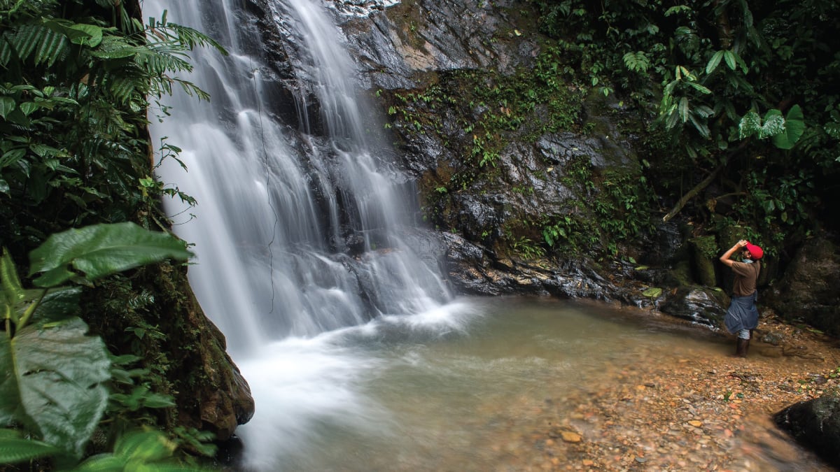 A mesmerizing waterfall cascading through the enchanting Mashpi Lodge Private Reserve in Ecuador, surrounded by lush rainforest and vibrant flora. A captivating sight for self-flying pilots exploring South America, offering a refreshing oasis amidst Ecuador's breathtaking natural landscapes and aerial adventures.