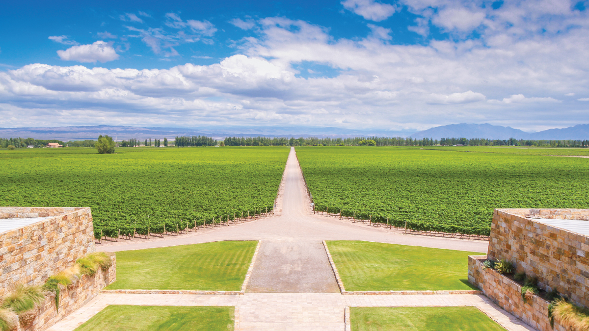 An expansive panorama of a lush vineyard in Mendoza, Argentina, surrounded by rolling hills and framed by the majestic Andes Mountains in the distance. A captivating destination for self-flying pilots exploring South America