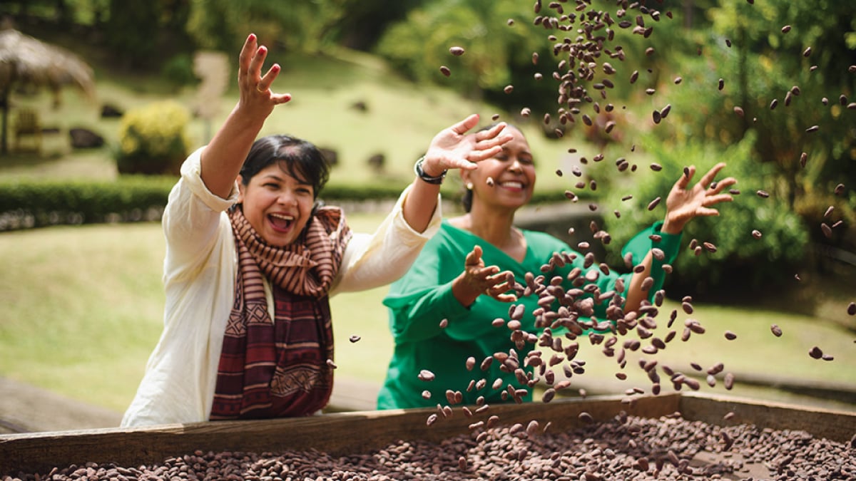 Two women joyfully engaging with cacao seeds at the Belmont Chocolate Factory in St. Georges, Grenada, amidst a backdrop of cocoa trees and lush vegetation. Tailored for self-flying pilots planning a caribbean adventure