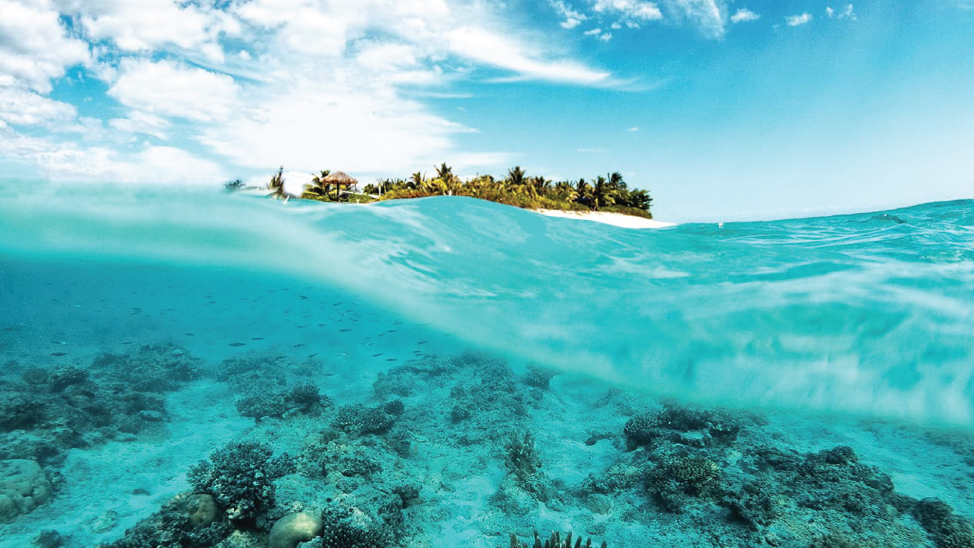 Crystal-clear waters and coral reefs.