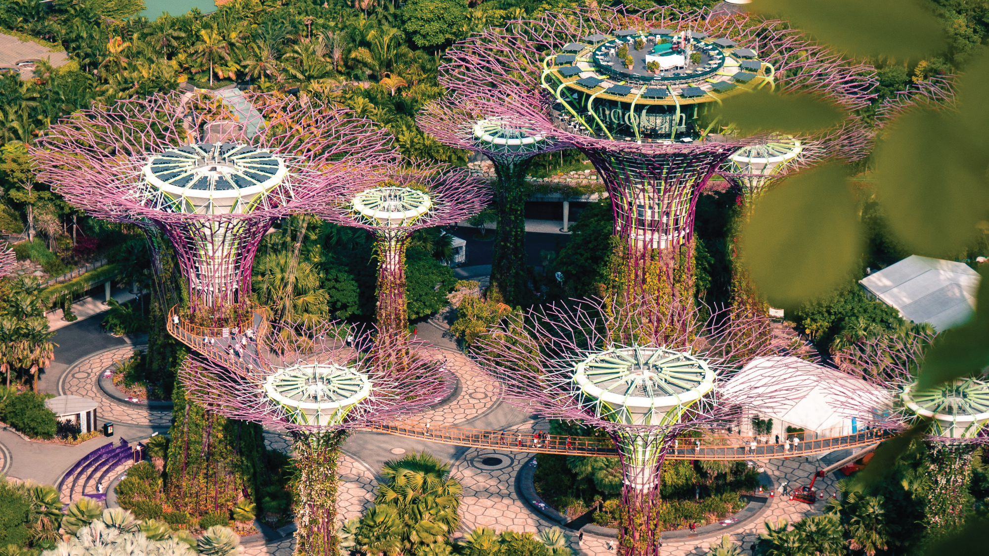 Gardens by the Bay with its towering Supertrees.