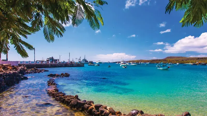 San Cristobal, Galapagos: A mesmerizing destination for self-flying pilots. Explore the natural wonders and unique wildlife of this iconic island paradise.