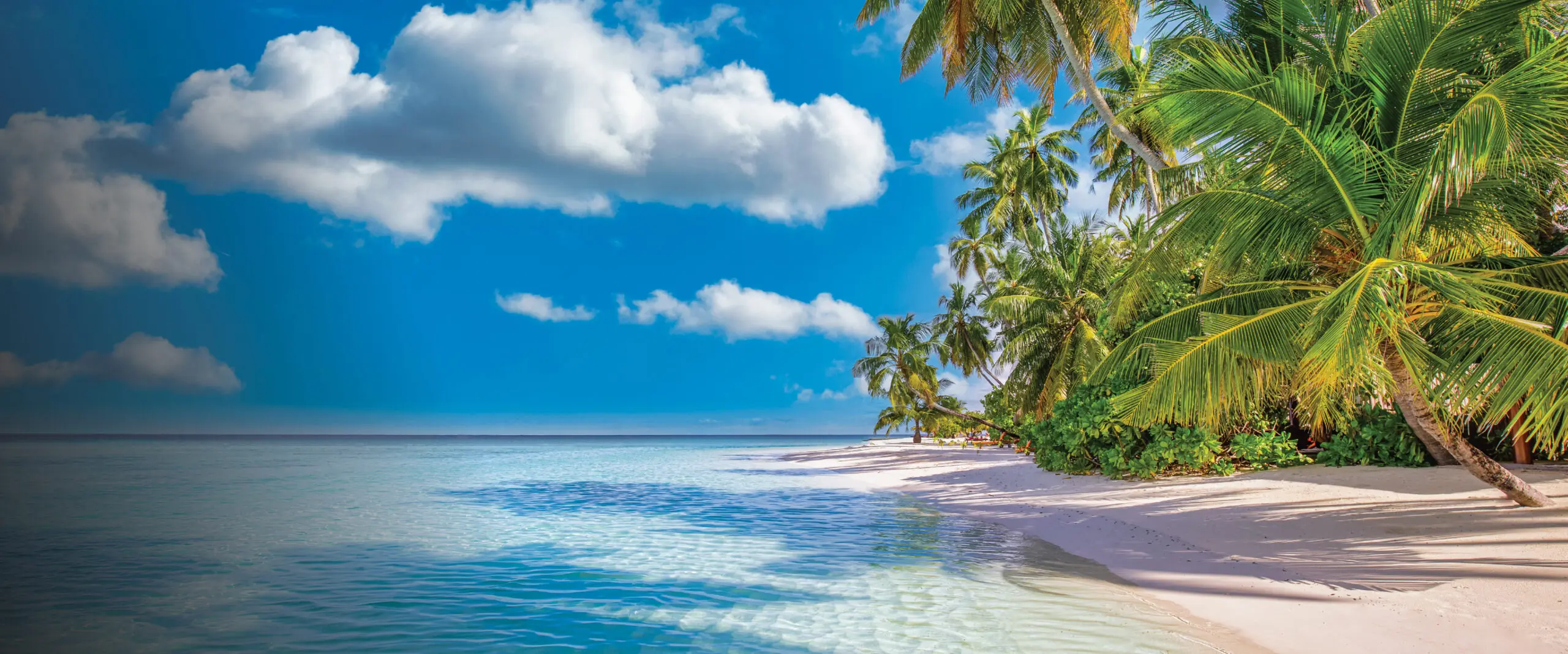 A mesmerizing view of a pristine turquoise Caribbean beach, with powdery white sands and crystal-clear waters stretching to the horizon. Tailored for self-flying pilots