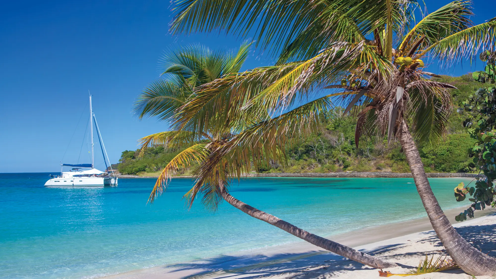 A captivating scene of a catamaran gracefully sailing along the coast of St. Georges, Grenada, against a backdrop of turquoise waters and lush greenery. Tailored for self-flying pilots planning a caribbean adventure